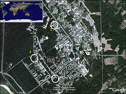 Google снимок верхней зоны Академгородка